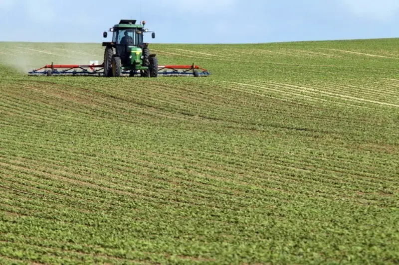 Teren agricol Foto: zf.ro