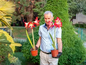 630 lei în plus la pensie pentru 430.000 pensionari. Ce pensie iei în România după 35 ani de muncă? - Foto: Freepik