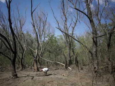 MApN anunță că s-au găsit fragmente dintr-o dronă în apropiere de localitatea Plauru - Foto: Libertatea