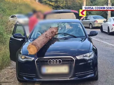 Au scăpat ca prin minune după ce un buștean căzut dintr-un camion le-a străpuns parbrizul - Foto: PROTV / imagine cu caracter ilustrativ