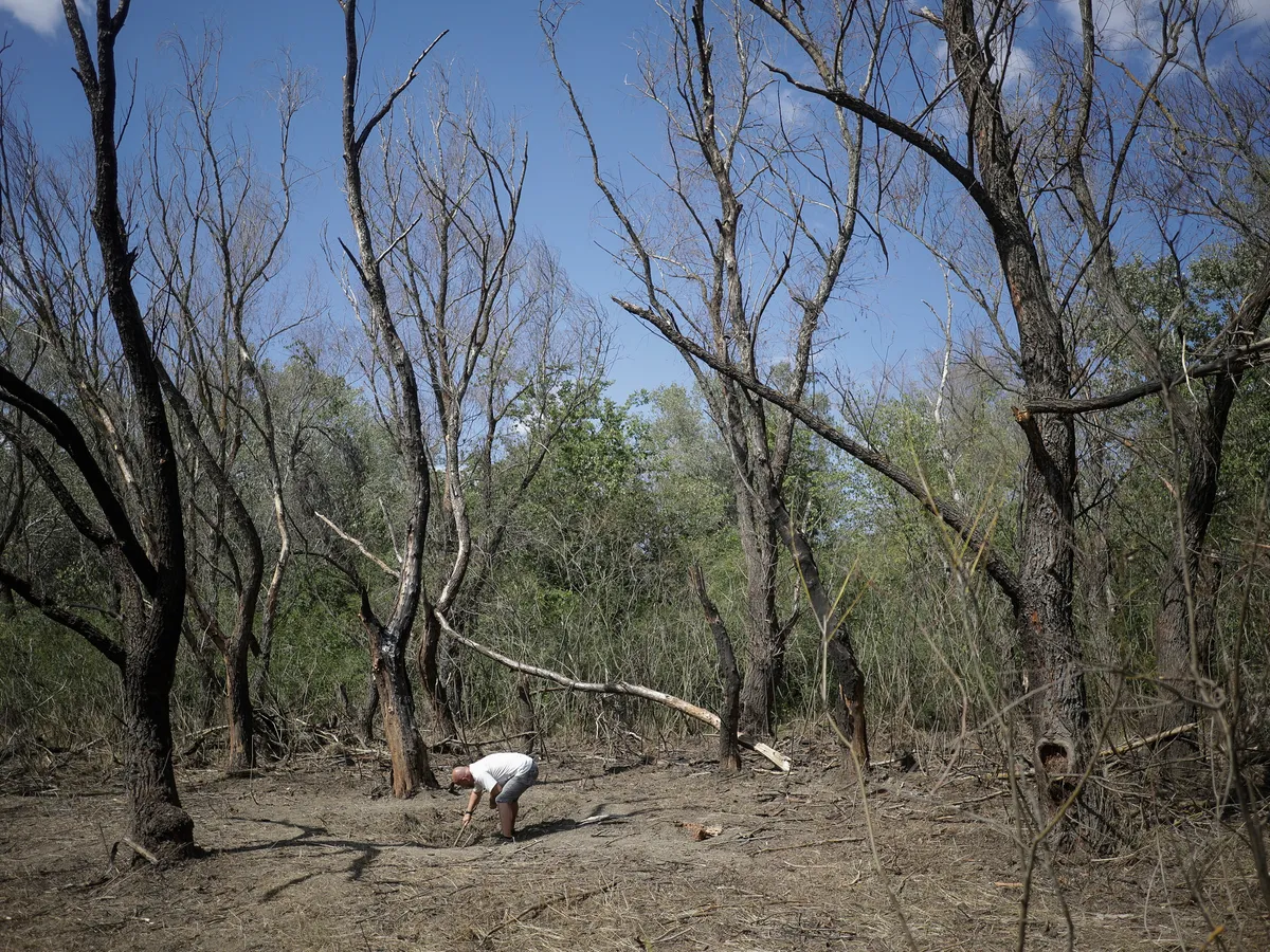 Alte fragmente de dronă rusescă au fost găsite în județul Tulcea - FOTO: Inquam Photos / Ovidiu Micsik