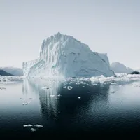 Un proiect militar secret din timpul Războiului Rece a dus la găsirea unor plante fosilizate de un milion de ani/FOTO: unsplash.com
