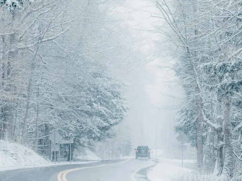 METEO Avertizare de cod galben de ceață în 4 județe din România! Vizibilitate redusă sub 50 de metri: FOTO - Pexels(imagine cu rol ilustrativ)