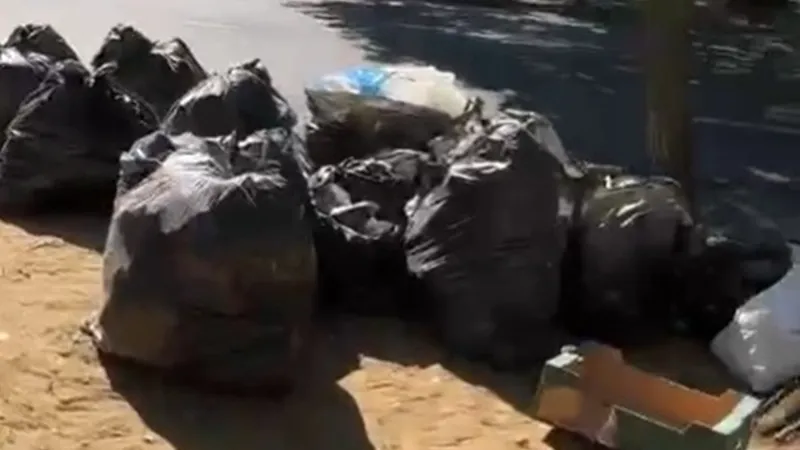 45.000 lei amendă unui bărbat care a aruncat gunoaie pe stradă. A avut trei ore să adune deșeurile - Foto: opiniatimisoarei.ro