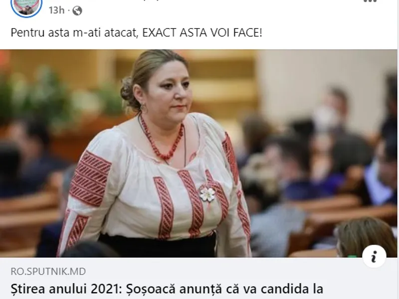 Șoșoacă, pe Facebook