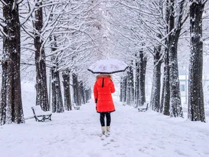 METEO Avertisment de ultimă oră al meteorologilor: polei, ninsori și vânt puternic în toată țara - Foto: freepik.com (rol ilustrativ)