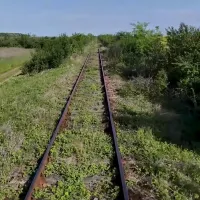 Trenul „zboară” cu 20 km/h între Timișoara și Cenad. Linia va fi reabilitată după 120 de ani - Foto: captură video