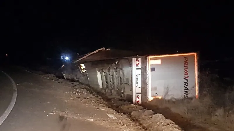 Un TIR cu peste 400 de oi s-a răsturnat pe DN 1A, la Mâneciu. / Foto: actualitateaprahoveana.ro
