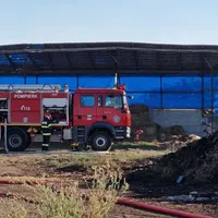 Incendiu puternic la un adăpost de animale din județul Satu Mare. 33 de bovine au murit în flăcări - Foto: News.ro