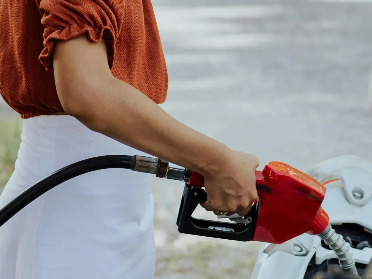 Eugen Rădulescu: Utilizatorii casnici să suporte preţul crescut al carburanţilor din buzunarele proprii