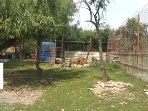 Doar în România! O grădină zoologică, cu lei, urși, maimuțe, funcționează ilegal - Foto: Facebook / Garda Naţională de Mediu