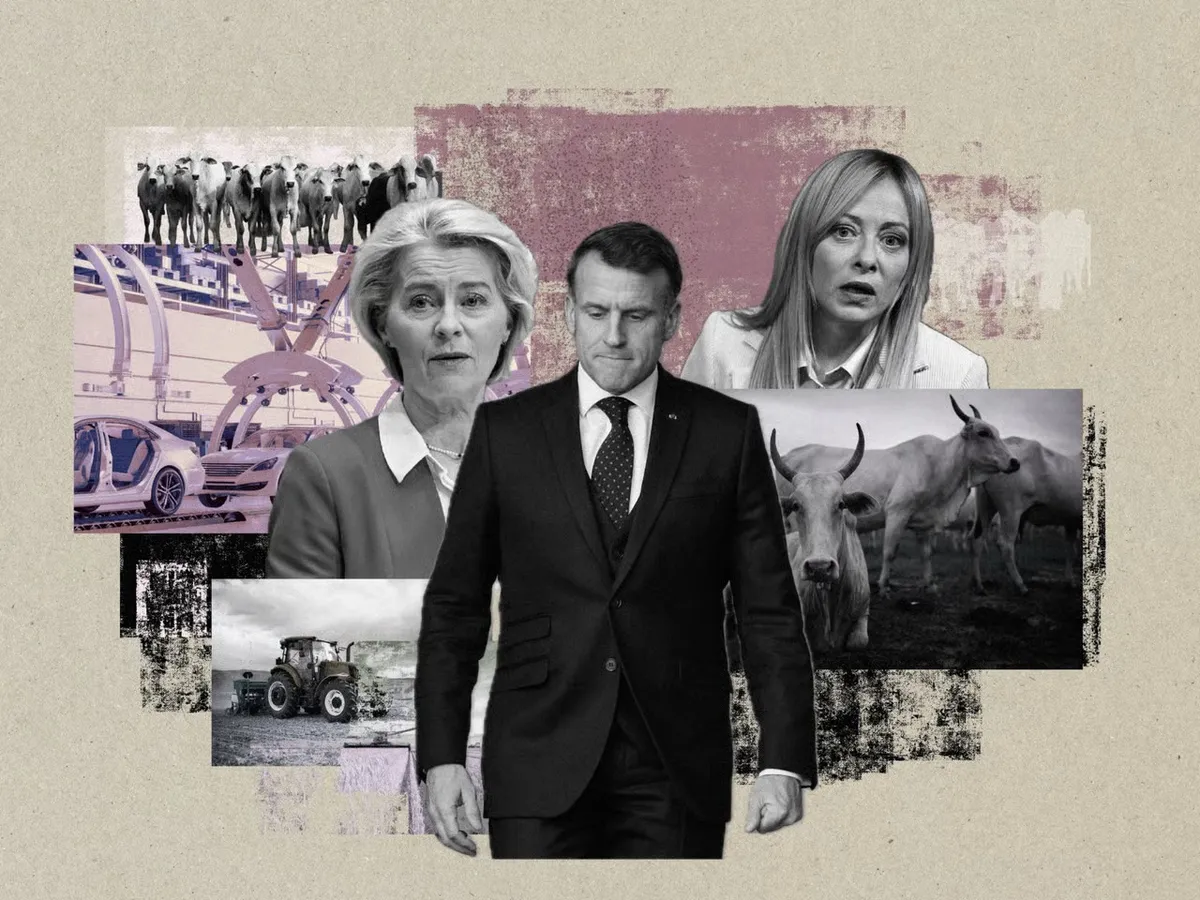 Analiză Politico: Cine sunt câştigătorii şi perdanţii mega-acordul comercial UE-Mercosur