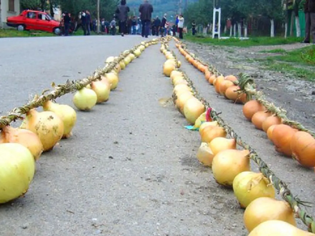 Cununa din cepe