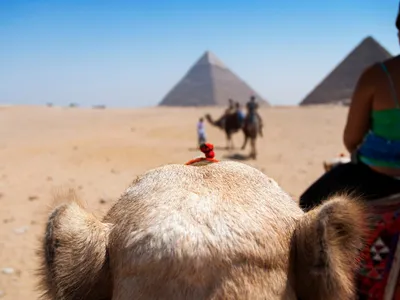 Plimbare cu cămila la piramide - Foto: Freepik (imagine cu rol ilustrativ)