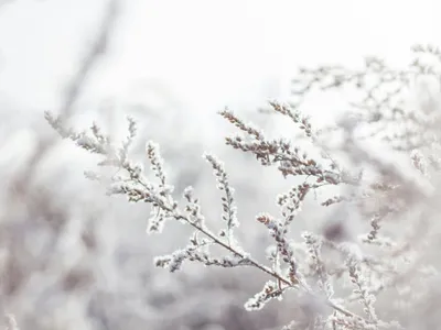 METEO Ce vreme va fi de 1 Decembrie? Va fi un ger aspru în unele orașe din țară Foto: Pexels (fotografie cu caracter ilustrativ)