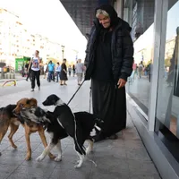 Veste minunată, dar cu reguli clare. Ce trebuie să facă cei care au animale, dacă vor cu ele în STB