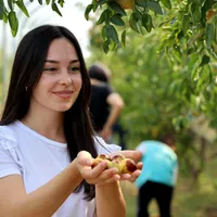 Fructul minune adus din China care crește la Dăbuleni. Te scapă de insomnie și reglează digestia - Foto: Profimedia Images