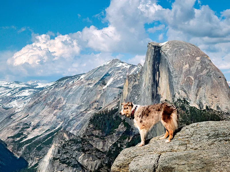 Aventură în parcurile naționale, Parcul Național Yosemite