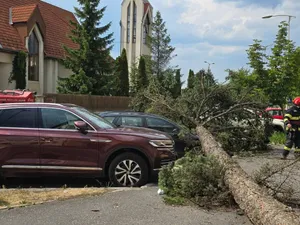 FOTO: Imaginea dezastrului: 85 de localități, afectate de furtuni, în ultimele 24 de ore - Foto: ISU Harghita