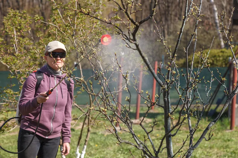 Femeie care stropește pomii - Foto: Freepik (Imagine cu rol ilustrativ)