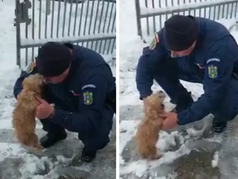 Misiune de salvare specială în Iasi - Foto: Facebook/ Jandarmeria Română