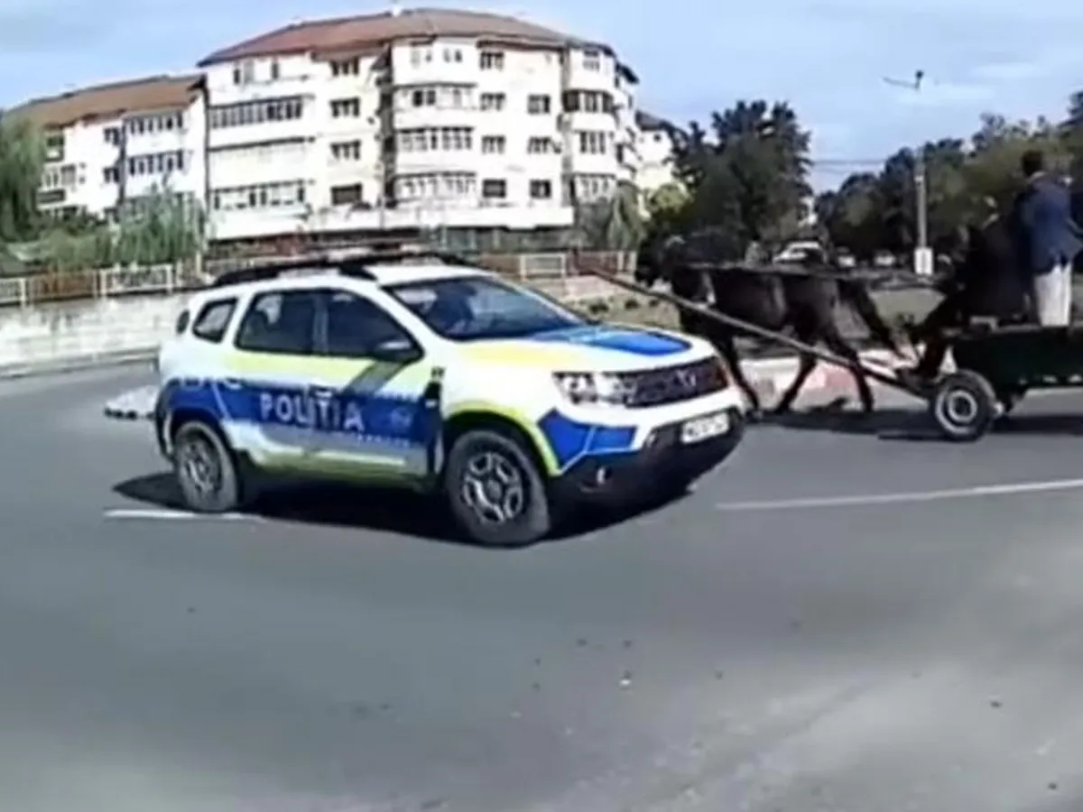 O căruță dă nas în nas cu mașina Poliției în giratoriu, pe cotrasens, în mijlocul orașului. / Foto: captură video