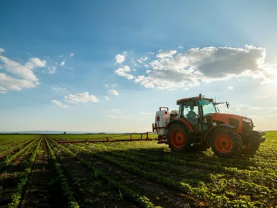 „Creditul Fermierului” le poate aduce românilor 50.000 euro în conturi, Ce condiții sunt? Foto: Shutterstock (fotografie cu caracte rilustrativ)
