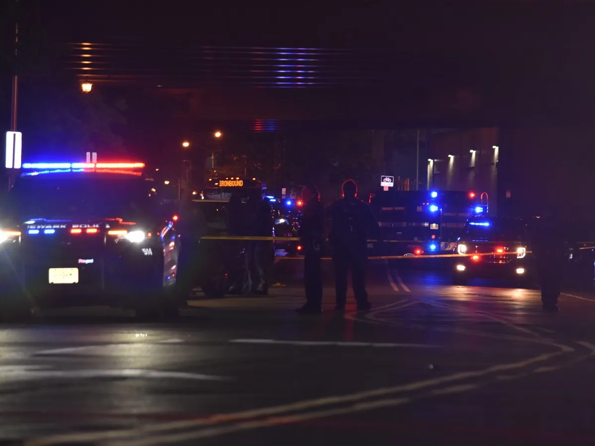 Atac armat în SUA. S-au tras focuri de armă într-un cartier rezidențial. Cel puțin 11 victime - Foto: Profimedia images