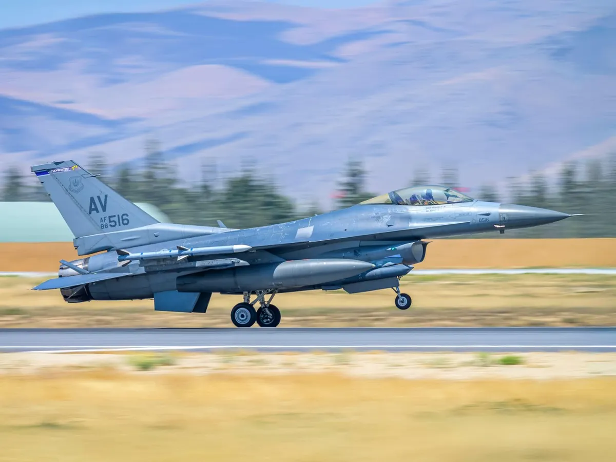 Avion de luptă - Foto: Profimedia Images