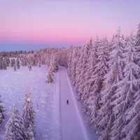 METEO În ce zone din țară va ninge? România este impărțită în două: ger în Est și 10 grade în Vest Foto: Freepik (fotografie cu caracter ilustrativ)