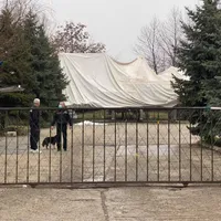 Adăpostul de la Odăi are 750 de câini fără stăpân. Foto Primăria Capitalei