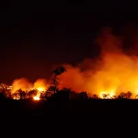 Incendii pe scară largă în Spania. Peste o mie de ha dintr-un parc național, mistuite de flăcări/FOTO: Pixabay