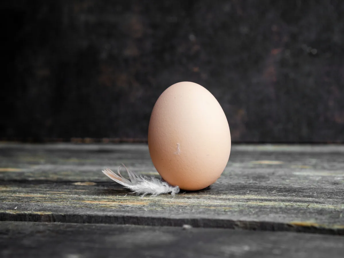 Ar trebui spălate ouăle înainte de utilizare? Specialiștii au găsit explicația științifică