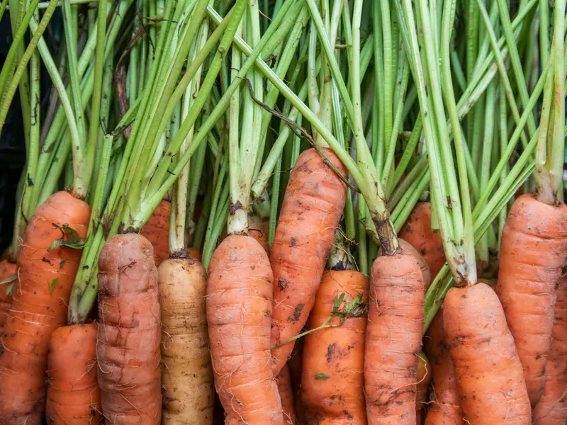 Scad prețurile la produsele românești. De ce scoate statul bani din buzunar pentru plafonare Foto: Pexels (fotografie cu caracter ilustrativ)