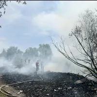 Incendiu masiv lângă București. A venit Garda de Mediu - Foto: Garda de mediu