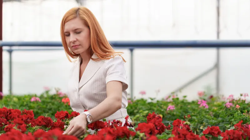 Florile din grădină care prevestesc dacă vine toamna. Cum trebuie să fie după 15 august? - Foto: Freepik