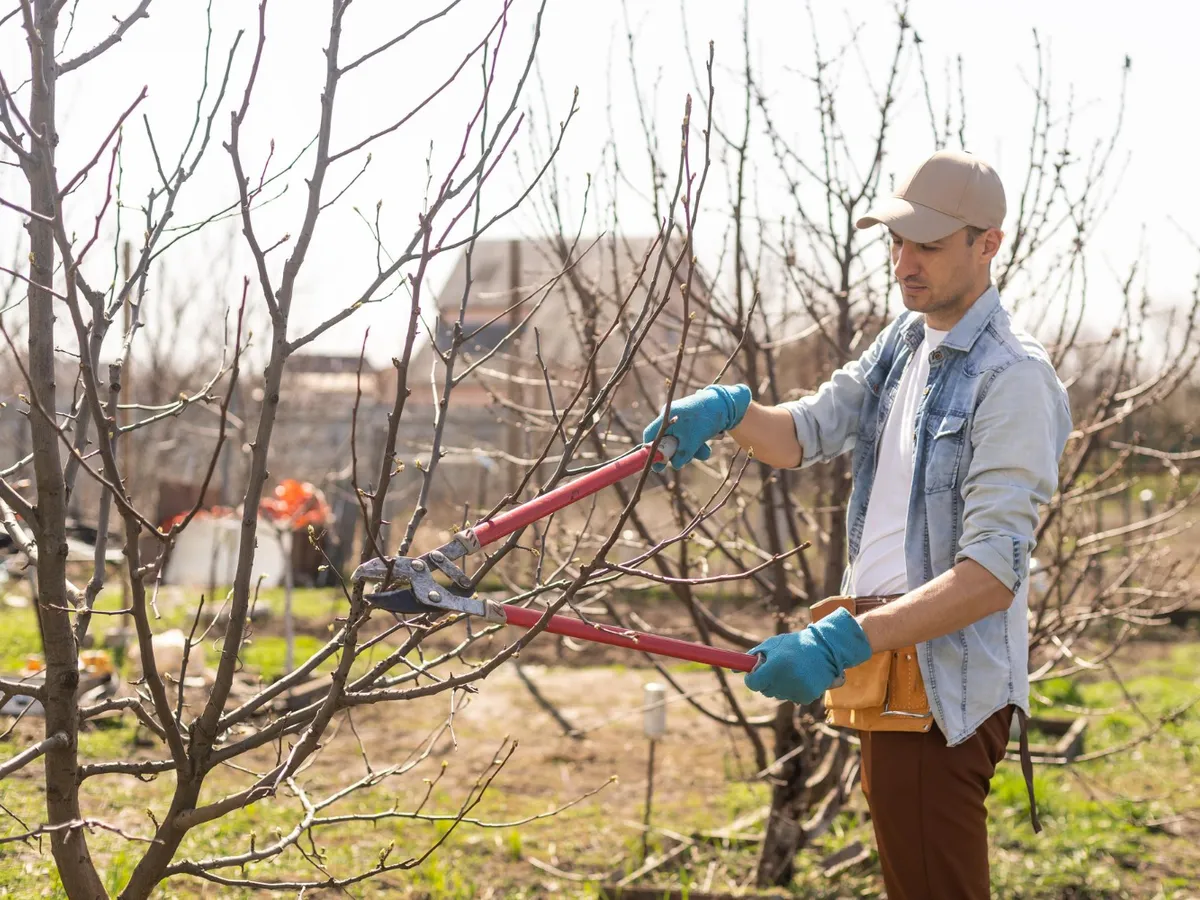 Bărbat care taie crengile - Foto: Freepik (Imagine cu rol ilustrativ)