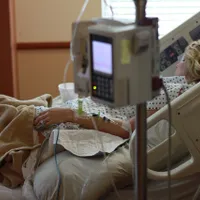 Au crezut că mănâncă leurdă dar au ajuns la spital. Au cules plante otrăvitoare și le-au gătit - Foto: Pixabay.com (rol ilustrativ)