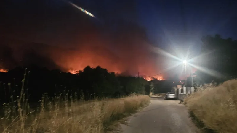 40.000 de hectare pârjolite în insula grecească Chios. Totul a plecat de la o țigară aruncată - Foto: Profimedia images