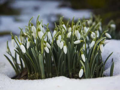 METEO Sunt așteptate temperaturi de 20 de grade în martie. În ce orașe vor fi înregistrate valorile Foto: Freepik (fotografie cu caracter ilustrativ)