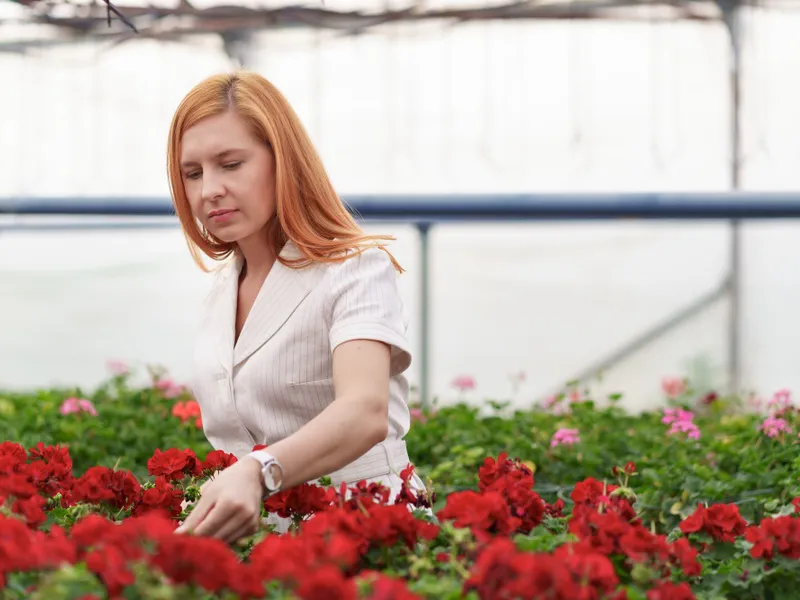 Florile din grădină care prevestesc dacă vine toamna. Cum trebuie să fie după 15 august? - Foto: Freepik