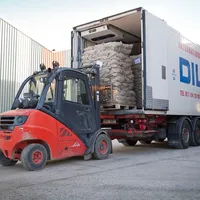 Luăm de două ori mai puțină marfă din Rusia decât din Ungaria. Importăm: tampoane, cauciuc, smoală / Poultry World