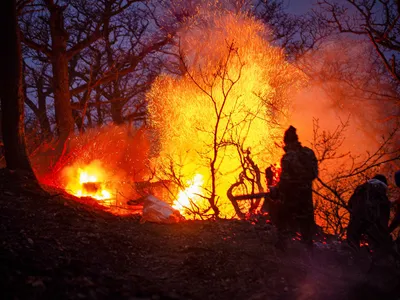 Iranul cere ajutor internațional pentru incendiul uriaș din pădurile UNESCO de la Marea Caspică - Foto: Profimedia Images (Imagine cu rol ilustrativ)