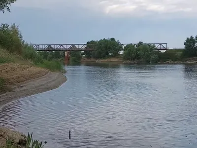 Rîul Siret, în dreptul podului de la Nănești - Foto: captură YouTube (cu rol ilustrativ)