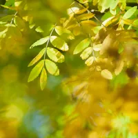 Ce temperaturi vor fi în luna septembrie și octombrie. Meteorologii vin cu vești bune Foto: Profimedia Images (fotografie cu caracter ilustrativ)