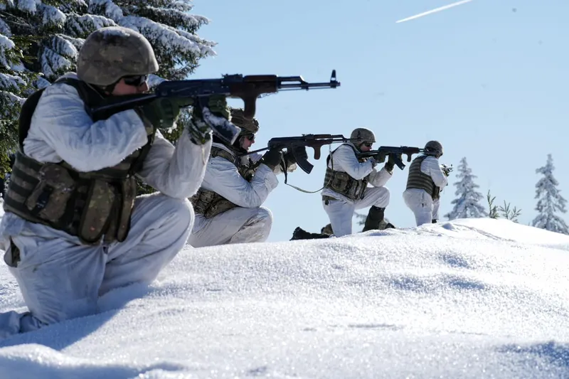 Armata rom&acirc;nă - Foto: FB