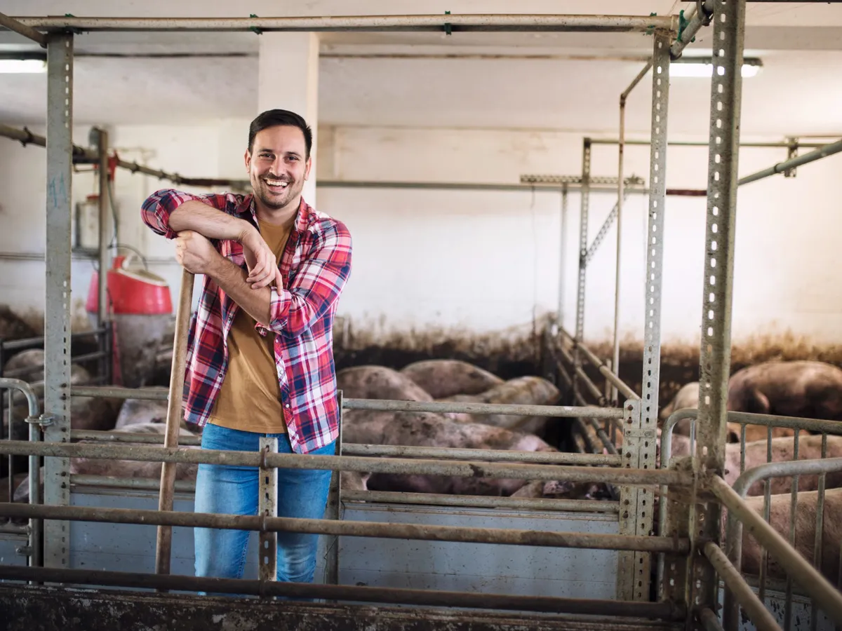 Bărbat într-o fermă cu porci - Foto: Magnific.com (Imagine cu rol ilustrativ)
