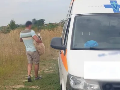 Un medic veterinar a fost surprins de polițiști cum abandonează un cățel pe câmp. Ce amendă a primit Foto: expressdebanat.ro