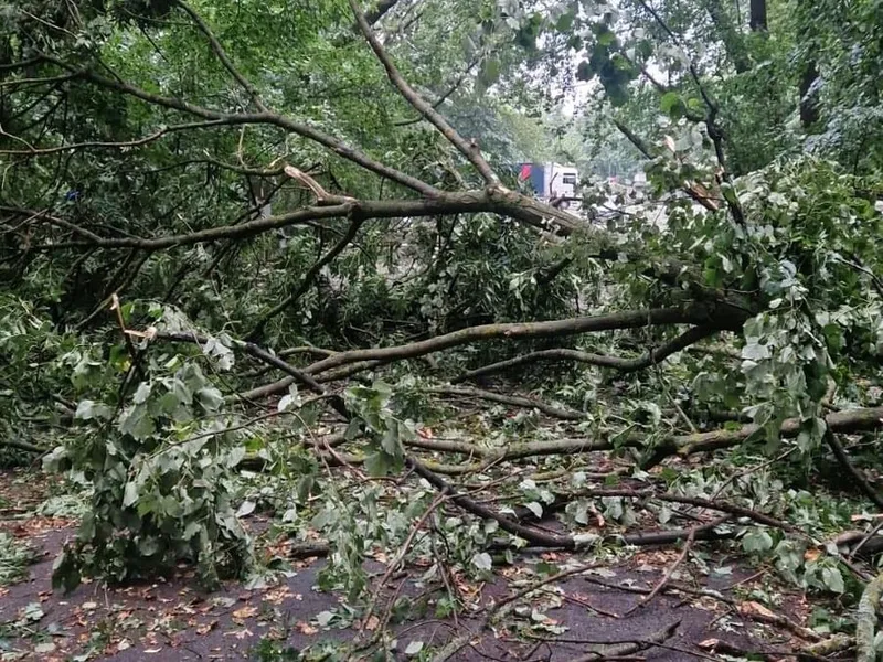 Un cartier din Capitală este complet blocat de copacii căzuţi în urma furtunii - Foto: Facebook/Florentina Mostovei