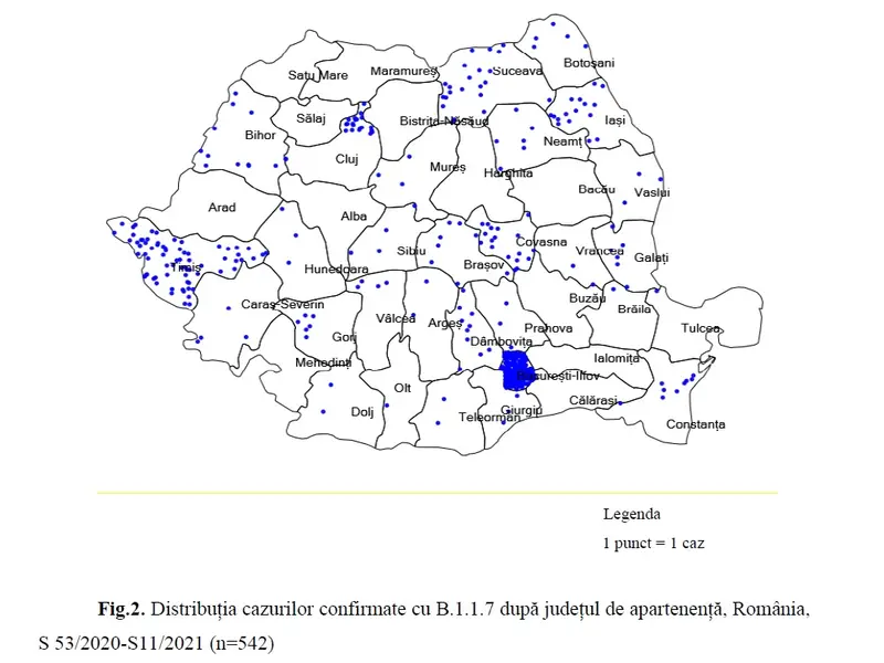 Răspândirea cazurilor de COVID cu tulpina UK. Sursă imagine: INSP